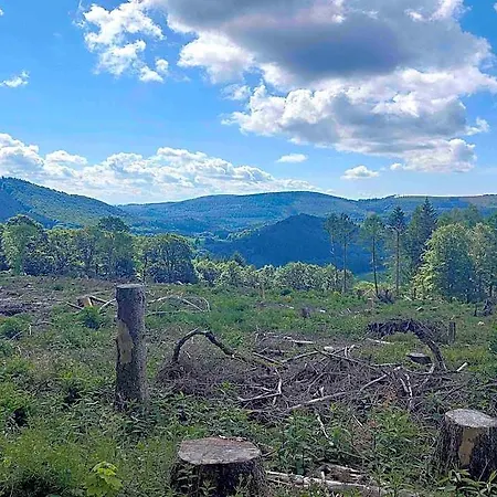 Terrace Retreat In Βίντερμπεργκ